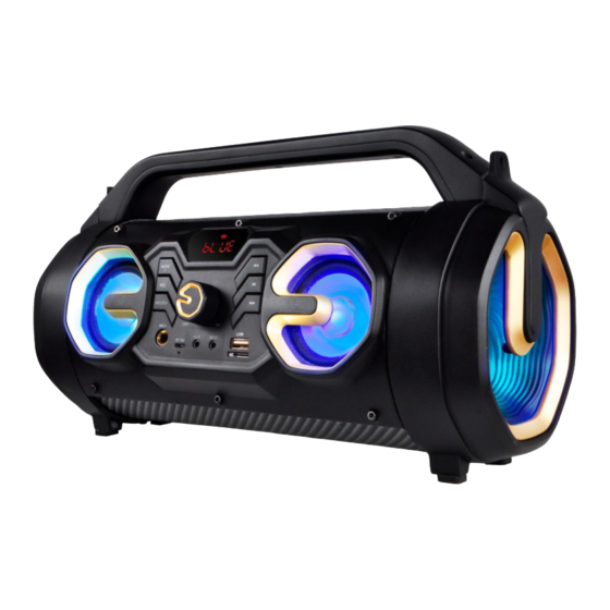 boytone T16 User Manual