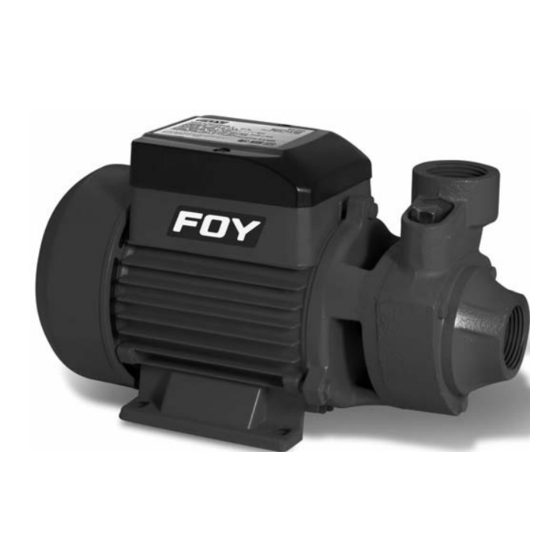 Foy BP305 User Manual And Warranty