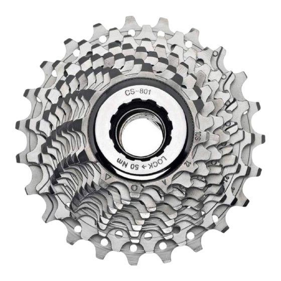 CAMPAGNOLO 10 SPEED INSTRUCTIONS MANUAL Pdf Download | ManualsLib