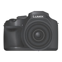 Panasonic LUMIX DC-FZ80DK Basic Owner's Manual