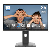 MSI PRO MP253P User Manual