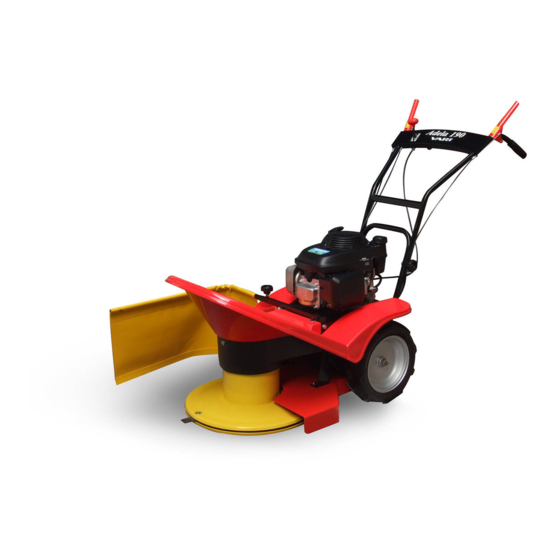 Vari BDR-595 Adela Instructions For Use Manual