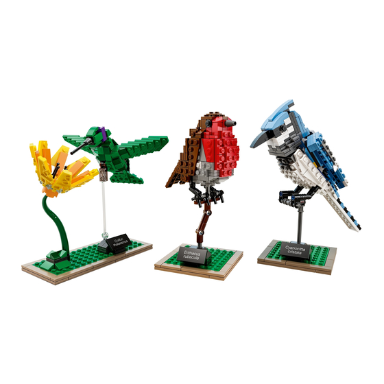 LEGO Blue jay 6127446 Building Instructions