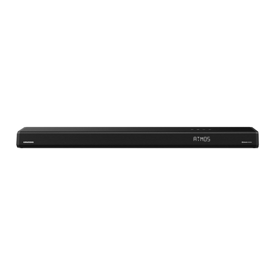 Grundig DSB 1000 User Manual
