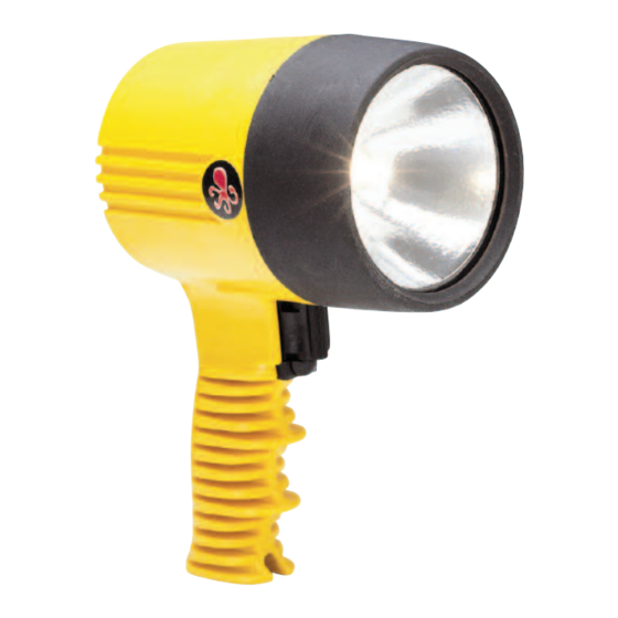 Ikelite RCD H Quick Start Manual
