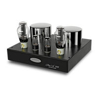 Fezz Audio Mira Ceti 300B User Manual