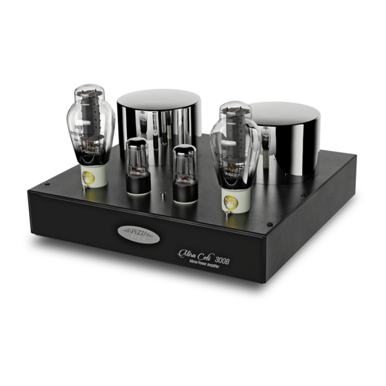 Fezz Audio Mira Ceti 300B User Manual