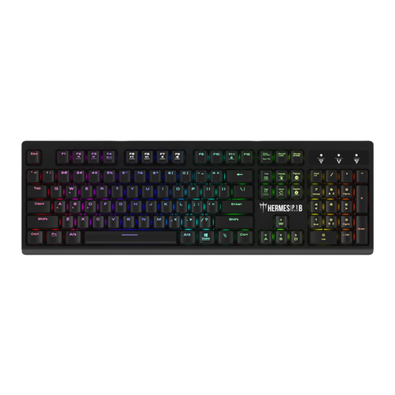 GAMDIAS HERMES P1B Quick Installation Manual