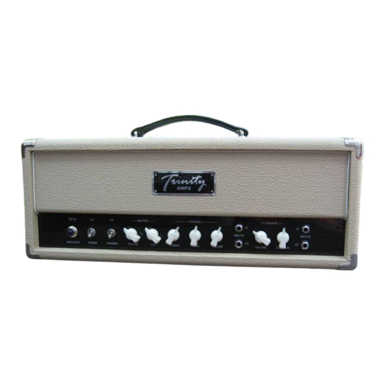 Trinity Amps TC15 Builder's Manual