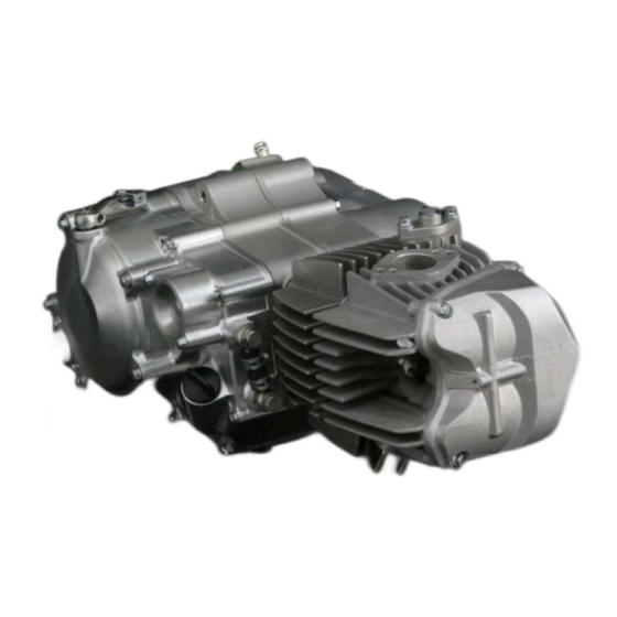 Daytona ANIMA 150F Owner's Manual