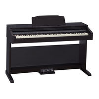 Roland RP30 Firmware Update Manual