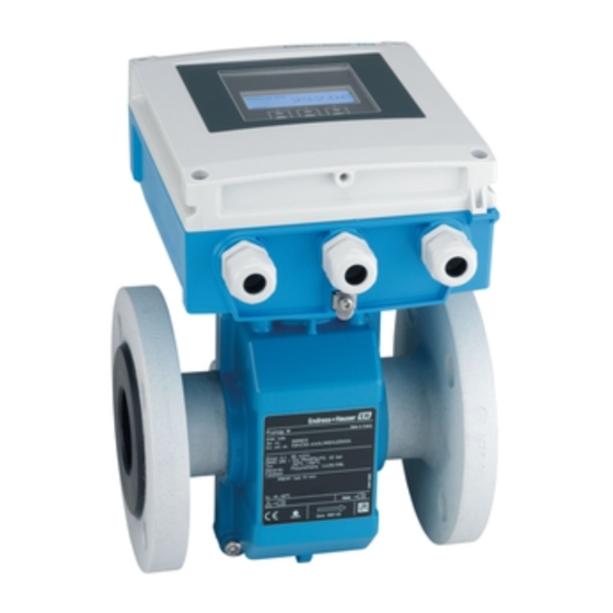 Endress+Hauser Proline Promag W 800 Brief Operating Instructions