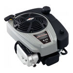 Briggs & Stratton 110000 Operator's Manual