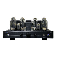 Cary Audio Design SLI-100 Owner's Manual