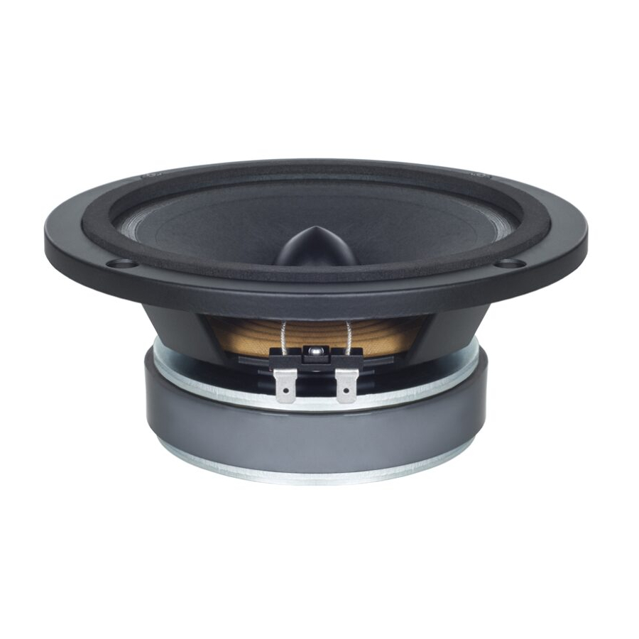 B&C SPEAKERS 6 PEV 13 SPECIFICATIONS Pdf Download ManualsLib