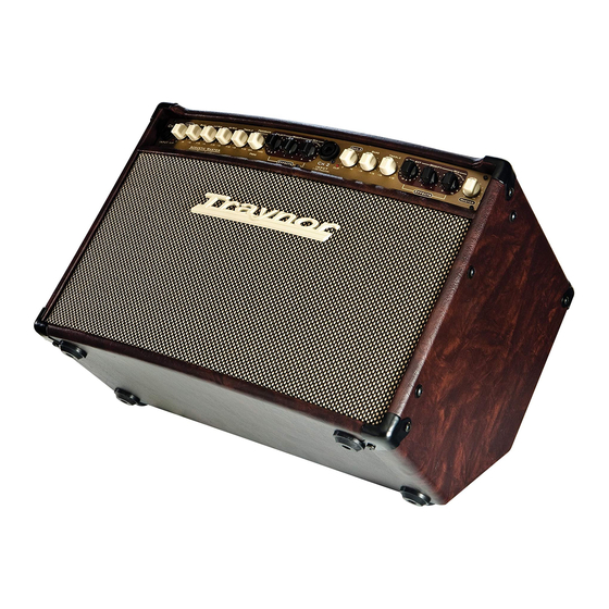 User Manuals: Traynor Acoustic Master Standard Amp