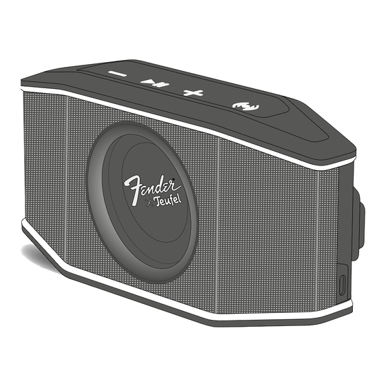 Fender TEUFEL ROCKSTER GO 2 Manuals
