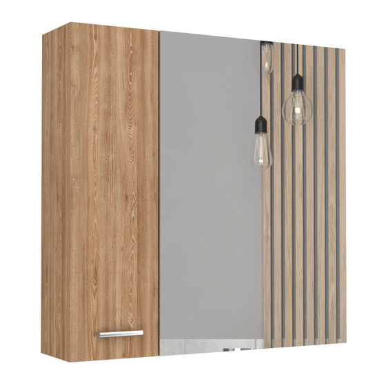 TUHOME Furniture BARCELONA MIRRORED MEDICINE CABINET Assembly Instructions Manual