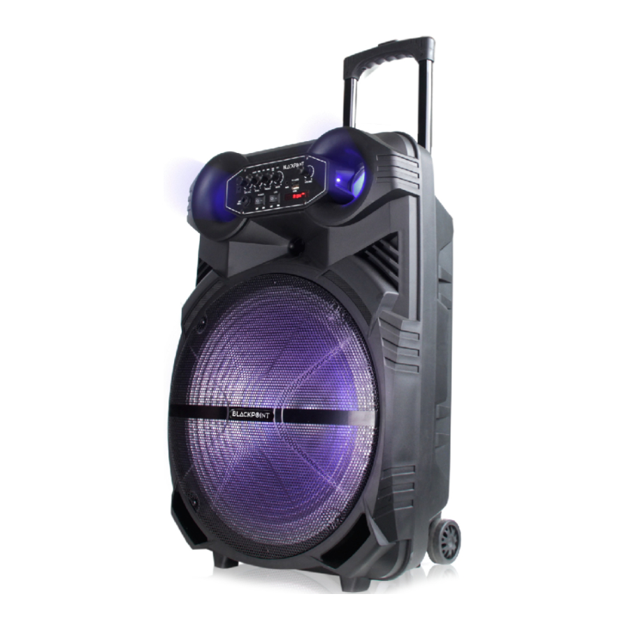 BLACKPOINT S51 - Rechargeable Speaker Manual