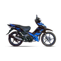TVS Rockz Installer's & Owner's Manual