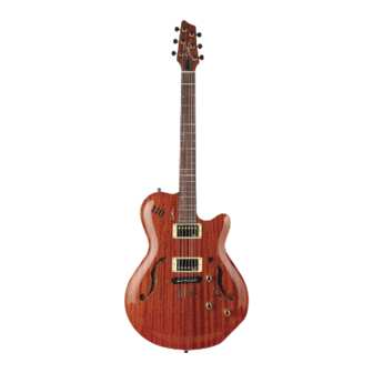 Godin Montreal Specification