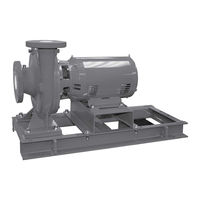 Xylem e-1531 Series Instruction Manual