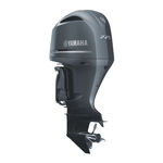 Yamaha F300B Service Manual