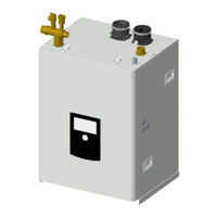 Bradford White FTHW399NX Installation And Instruction Manual