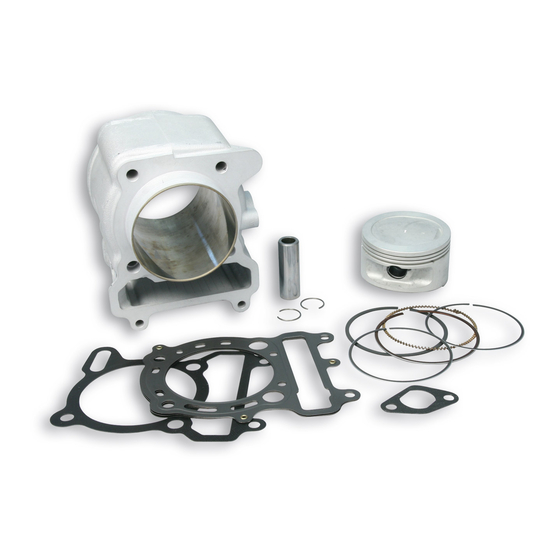 User Manuals: Malossi 31 9578 Unit Cylinder Kit