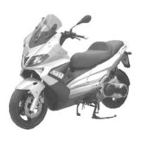 Gilera Nexus 250 i.e. Manual