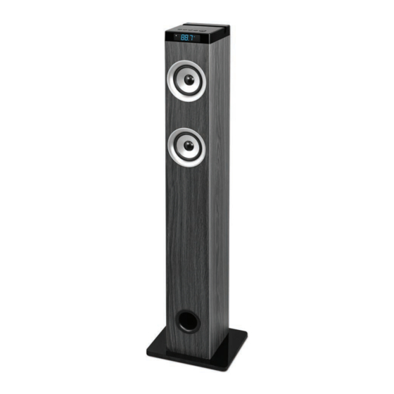 Innovative Technology ITSB-300 Grey User Manual