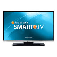 Gogen TVF22R384STWEB Instruction Manual