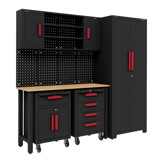 Sealey APMS12OP Manual