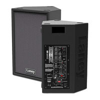 Laney IronHeart IRT-X User Manual