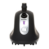 STEAMONE H3S User Manual