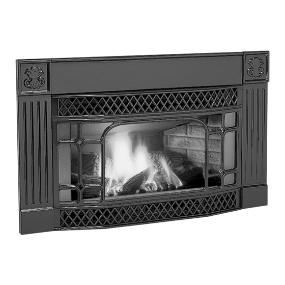 Enviro FOCUS EG31-118 Gas Fireplace Manuals