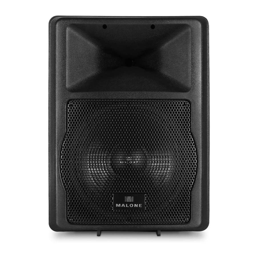 auna PW-EV-12A PA Speaker System Manuals