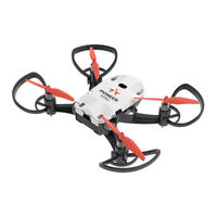 Geoscan Pioneer Mini Quick Start Manual
