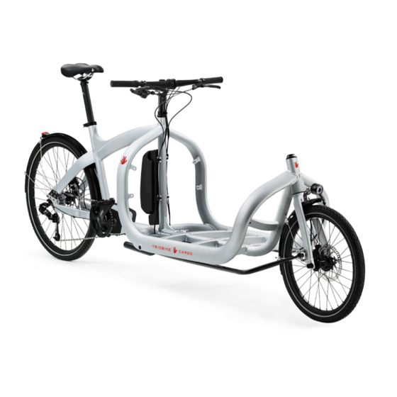 TRIOBIKE CARGO Original Instructions Manual