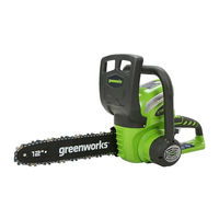 Greenworks 20262 Owner's Manual