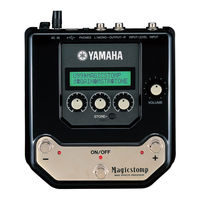 Yamaha Acoustic Supplementary Manual