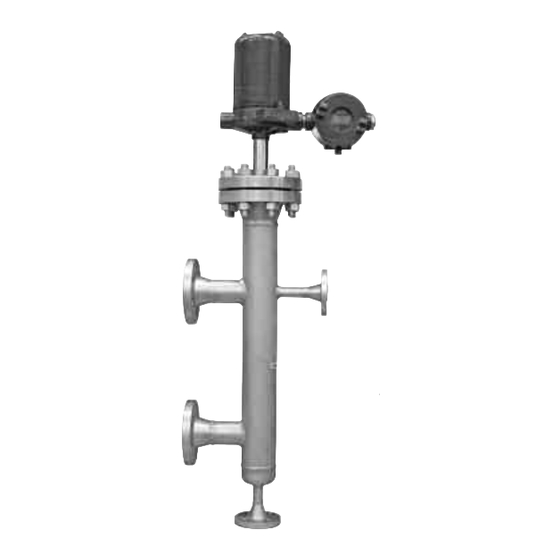 Magnetrol Smart EZ Modulevel Installation And Operating Manual