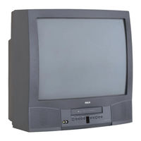 RCA T25061GY User Manual