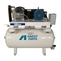 Anest Iwata SLT-7.5-FM Instruction Manual