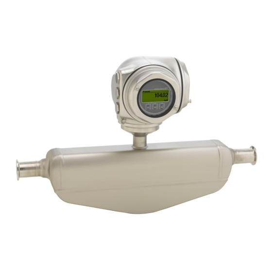 Endress+Hauser Proline Promass P 300 Manual
