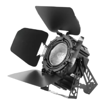 Flash professional P7100423 User Manual