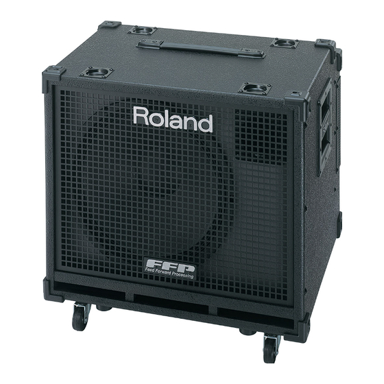 Roland D-Bass 115 Owner's Manual