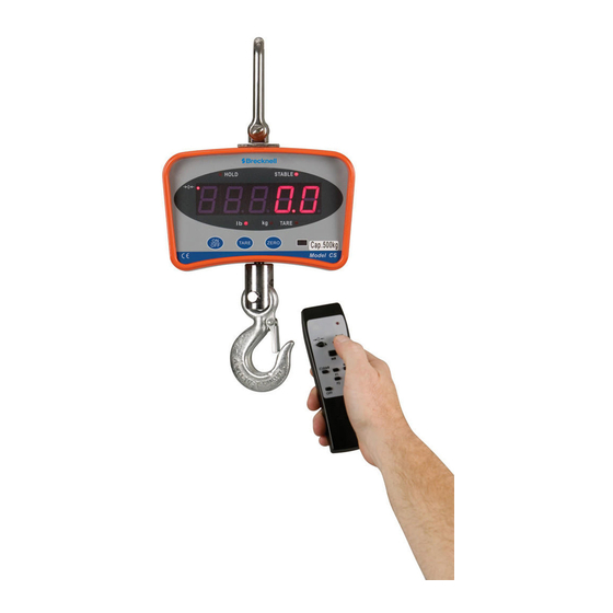 Salter Brecknell CS Series User Instructions