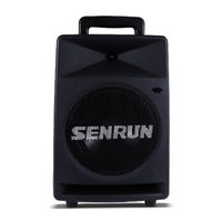 Senrun EP-890 Series Manual