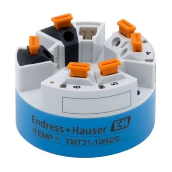 Endress+Hauser iTEMP TMT31 Manuals